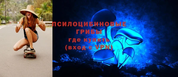 PSILOCYBIN Алексин