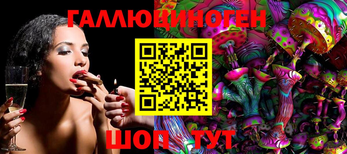 Галлюциногенные грибы Psilocybe Саянск
