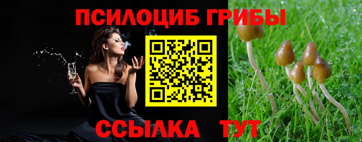 Галлюциногенные грибы Cubensis  Вход с VPN  Саянск  закладки  Галлюциногенные грибы мухоморы 